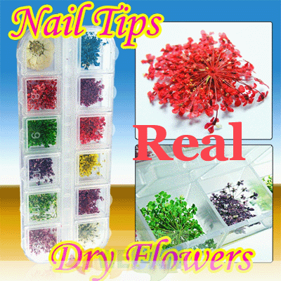 3D UV 12 Pcs Acrylic Nail Decoration Real Dry Flower